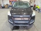 FORD ESCAPE SE photo