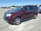 HONDA PILOT EXL photo