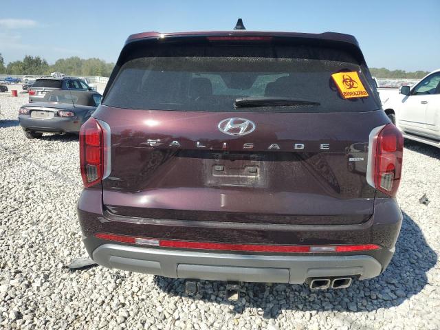 VIN KM8R5DGE3RU678745 2024 Hyundai Palisade, Limited no.6