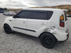 KIA SOUL + photo