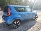 KIA SOUL + photo