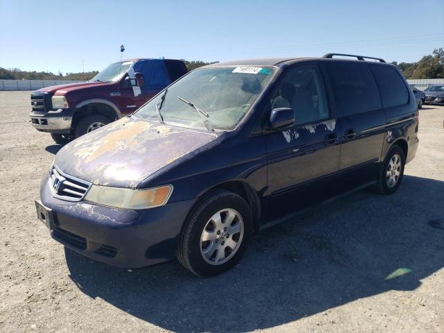 2004 HONDA ODYSSEY EX #2993835661