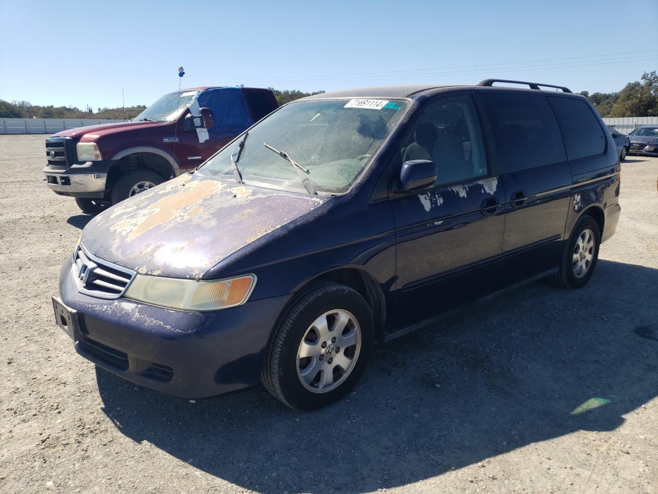 Lot #2993835661 2004 HONDA ODYSSEY EX