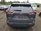 TOYOTA RAV4 XLE P photo