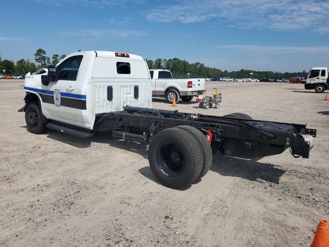 2023 CHEVROLET SILVERADO - 1GB3WSEY3PF191544
