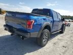 FORD F150 RAPTO photo