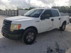 Lot #2938507449 2009 FORD F150 SUPER