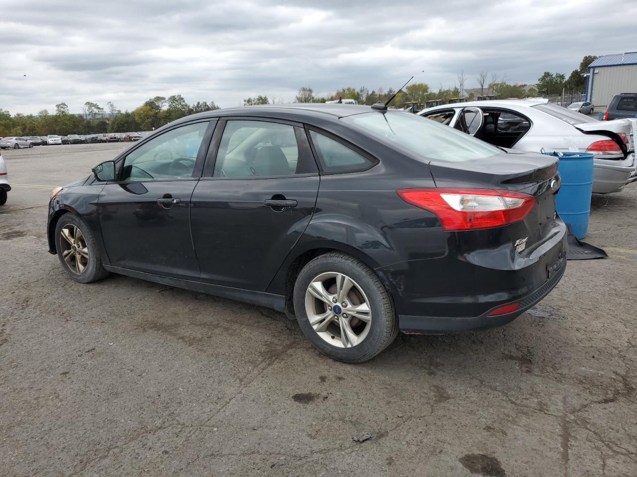 Lot #3023332236 2014 FORD FOCUS SE