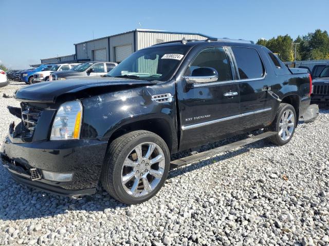 2013 CADILLAC ESCALADE E 3GYT4NEFXDG125868  70380224