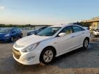 HYUNDAI SONATA HYB photo