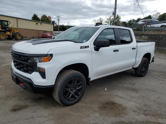 2024 CHEVROLET SILVERADO #2972106151