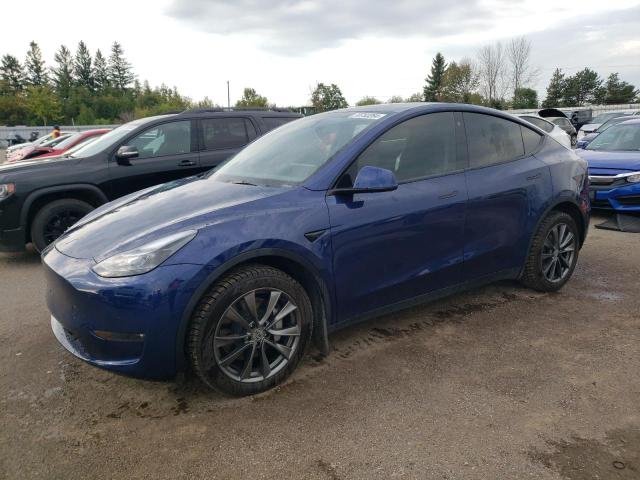 Vin: 7saygdee6nf550034, lot: 70753264, tesla model y 2022 img_1