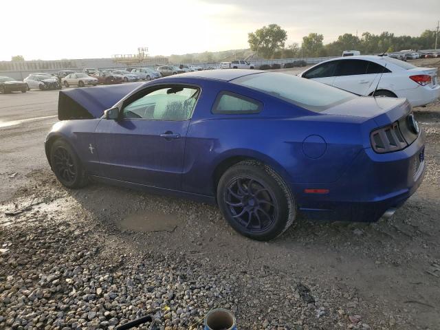 VIN 1ZVBP8AM7E5253828 2014 Ford Mustang no.2