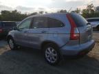 HONDA CR-V EXL photo