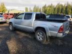 TOYOTA TACOMA DOU photo