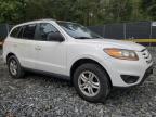 Lot #3027011836 2010 HYUNDAI SANTA FE