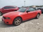 Lot #3024604729 2010 FORD MUSTANG