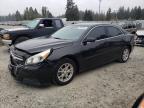 CHEVROLET MALIBU LS photo