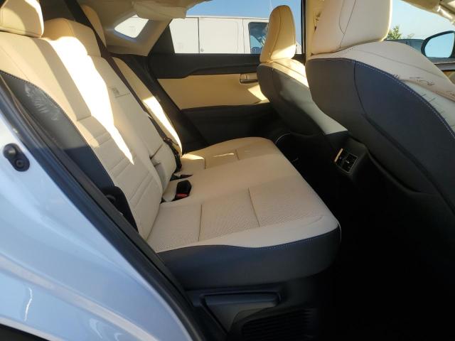 2020 LEXUS NX 300H - JTJGJRDZ8L5008327