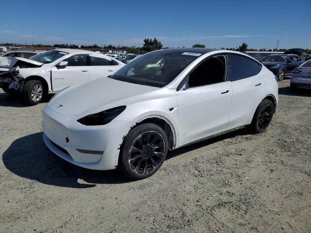 2022 TESLA MODEL Y #3024696718