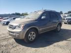 KIA SORENTO EX photo