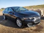 CHEVROLET MALIBU LT photo