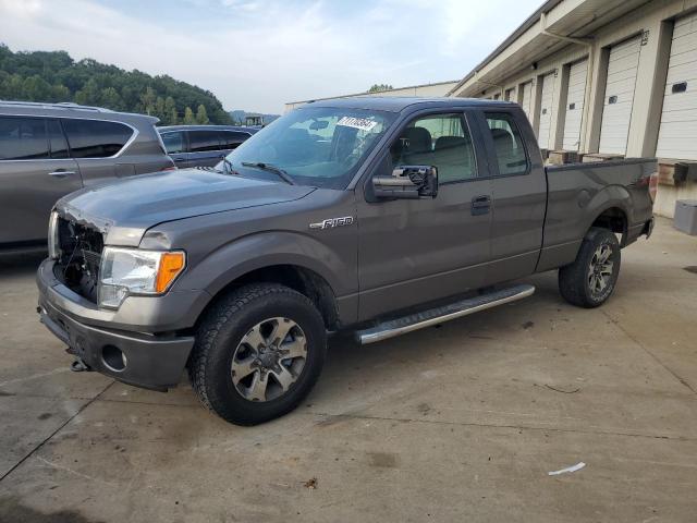 VIN 1FTFX1EF3DKE09676 2013 Ford F-150, Super Cab no.1