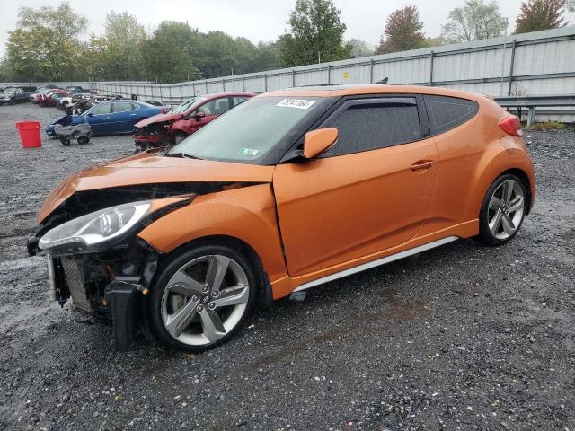 VIN KMHTC6AE7EU191610 2014 Hyundai Veloster, Turbo no.1