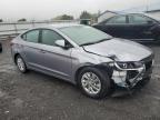 HYUNDAI ELANTRA SE photo