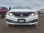 HONDA CIVIC SE photo