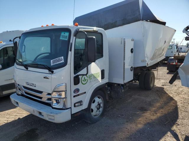 ISUZU NRR 2023 white  diesel JALE5W163P7301858 photo #1