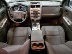 FORD ESCAPE XLT photo