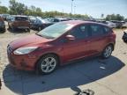 FORD FOCUS SE photo