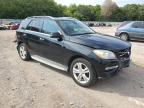 MERCEDES-BENZ ML 350 photo