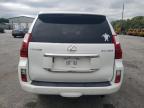 LEXUS GX 460 снимка