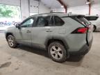 TOYOTA RAV4 XLE photo