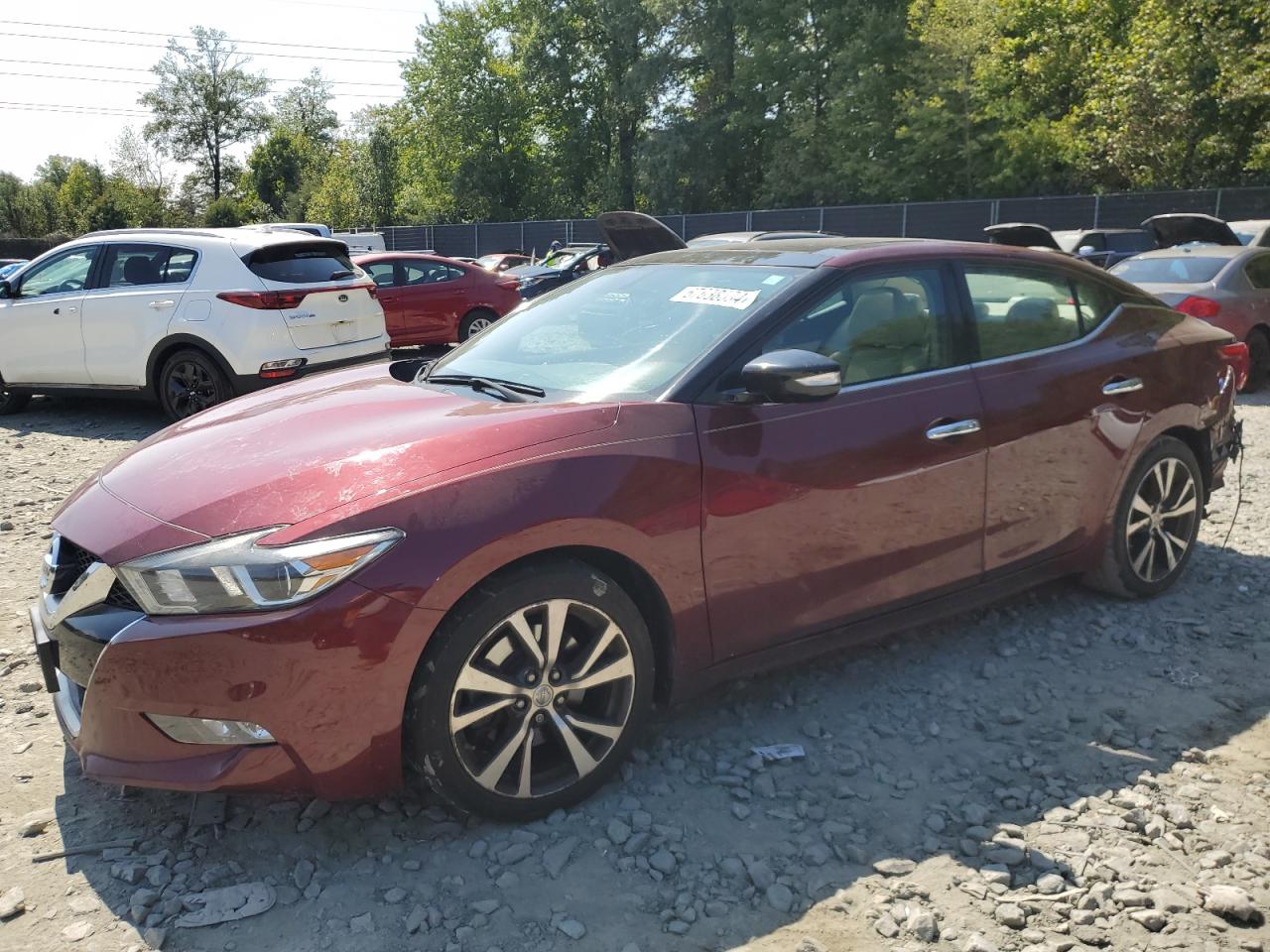 Lot #2974716050 2016 NISSAN MAXIMA 3.5