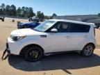 KIA SOUL + photo