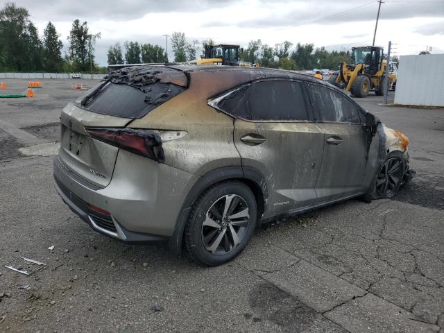 2020 LEXUS NX 300H LU - JTJHJRDZ8L2132118