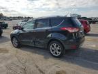 Lot #3025039194 2014 FORD ESCAPE TIT