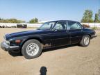 JAGUAR XJ6 photo