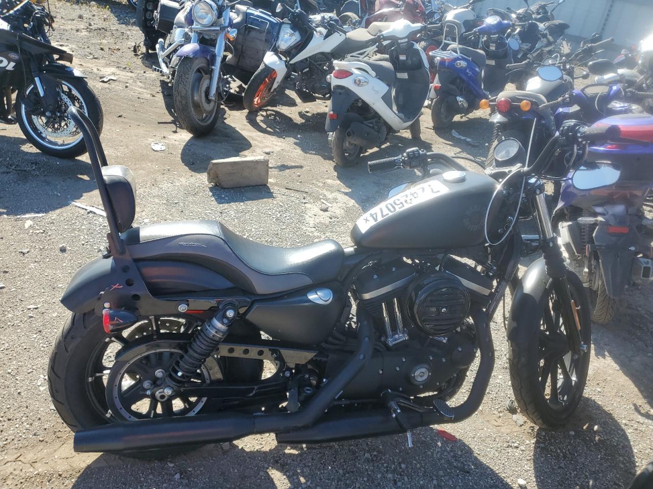 Harley Davidson XL883N / IRON 883 2022 