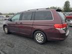 HONDA ODYSSEY EX photo