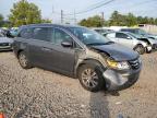 HONDA ODYSSEY EX photo