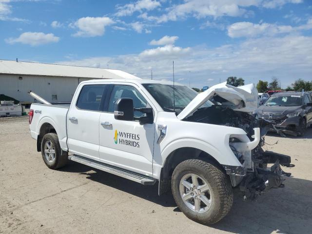 2024 FORD F150 SUPER - 1FTFW3L5XRKD72951