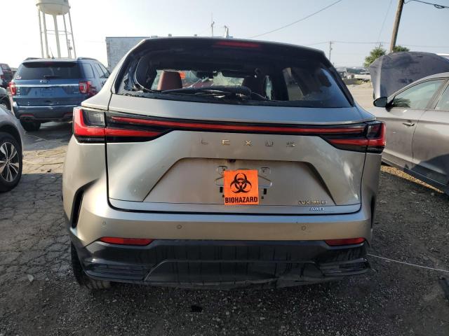 2022 LEXUS NX 250 2T2GDCEZ5NC001052