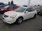 NISSAN ALTIMA BAS photo