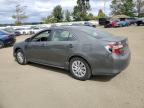 TOYOTA CAMRY L photo