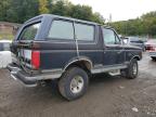 FORD BRONCO U10 photo