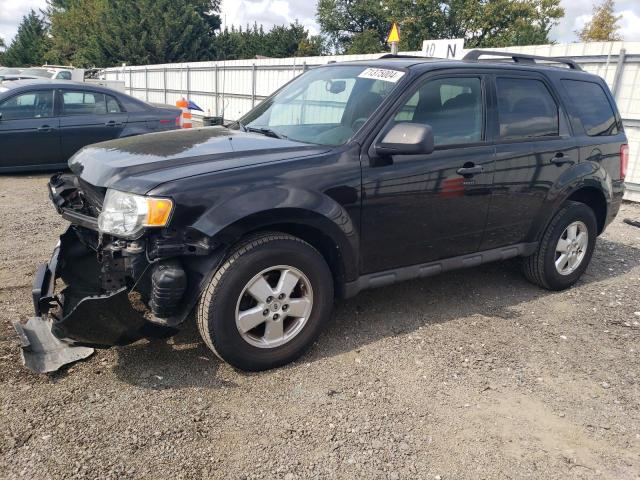 2011 FORD ESCAPE XLT 2011